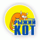 Рыжий кот